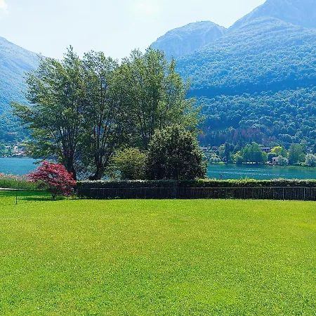 Alessandro Spinone Al Lago